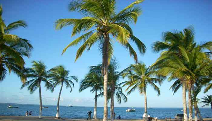3 Dicas de Hotéis Econômicos em Porto Seguro Bahia 4 Hotéis Econômicos em Porto Seguro Bahia