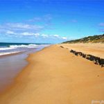 As 11 Melhores Praias da Austrália e a Destacada Praia de Melbourne (10)