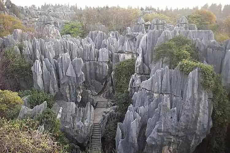 Conheça a Famosa Floresta de Pedra na China