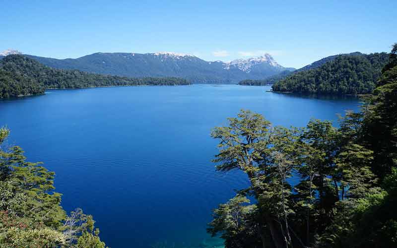 Conheça a Floresta Submersa na Patagônia Argentina