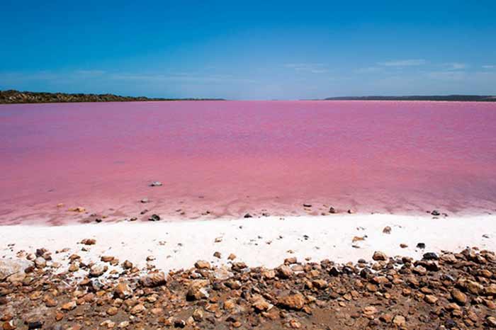 O Misterioso Lago Rosado na Austrália que atrai Milhares de Turistas
