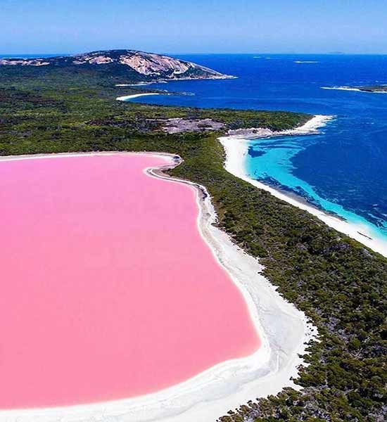 O Misterioso Lago Rosado na Austrália que atrai Milhares de Turistas