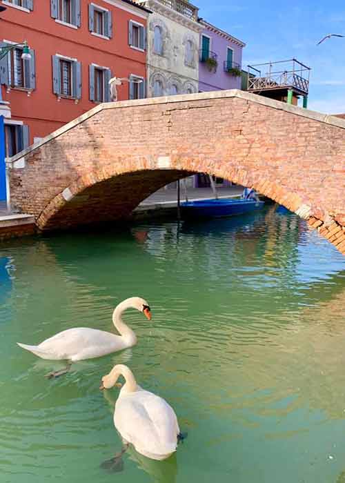 Sem turistas, as águas dos Canais de Veneza estão cristalinas