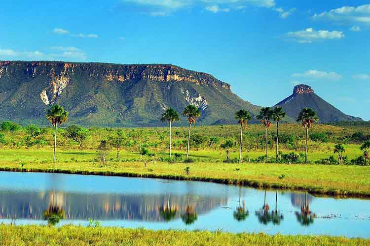 Conheça o Parque Estadual do Jalapão, Tocantins