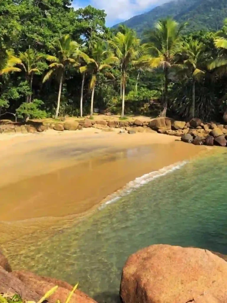 Praia do Português, Ubatuba: um paraíso escondido na costa norte de São Paulo