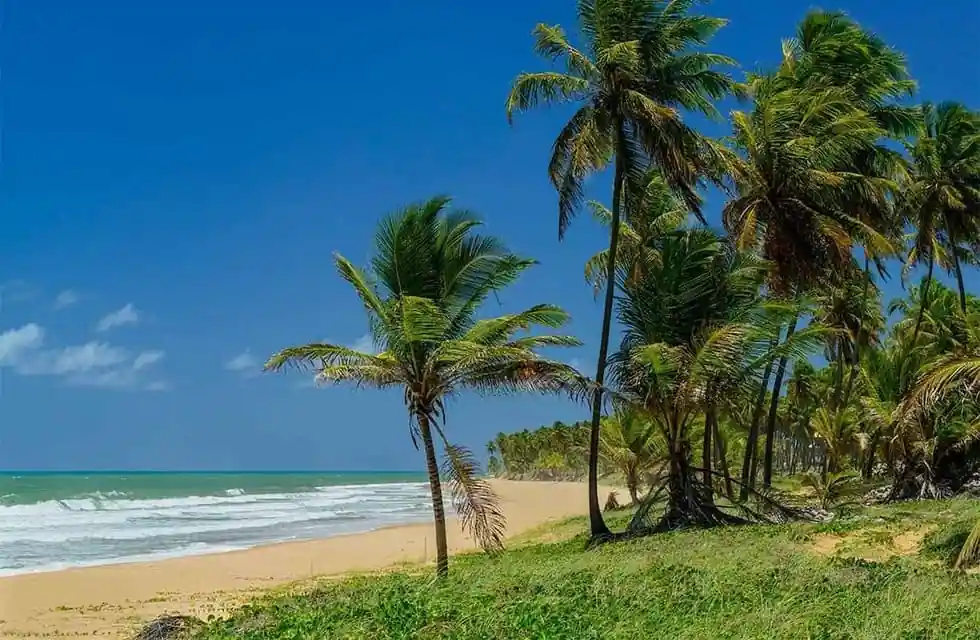Canoa Quebrada: Um Paraíso Único no Ceará que Você Precisa Conhecer 3 Canoa Quebrada Um Paraíso Único no Ceará