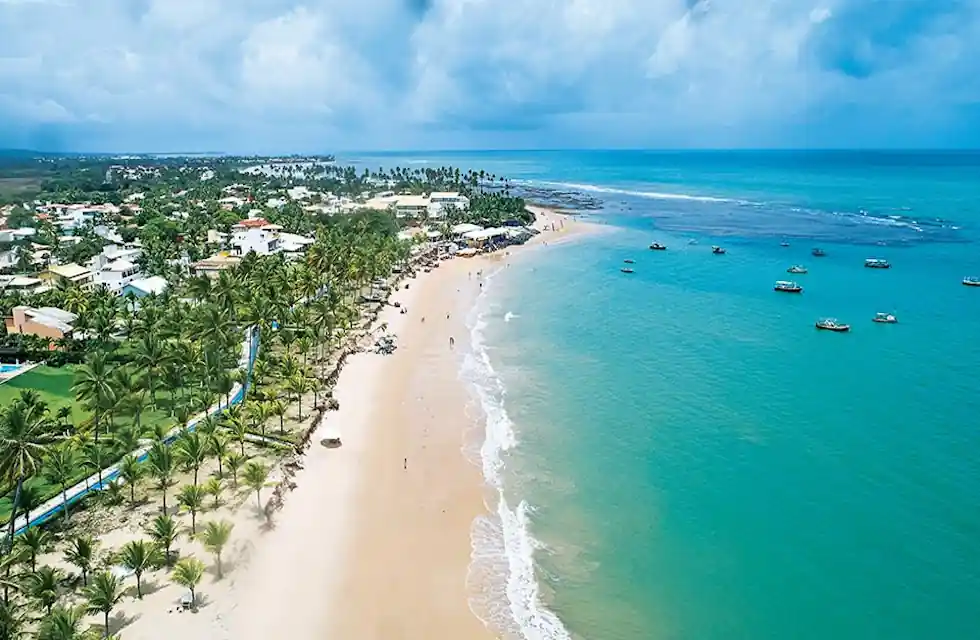 Descubra a Magia da Praia do Forte