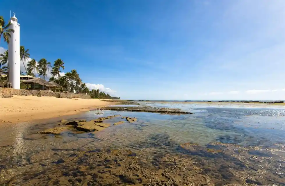 Descubra a Magia da Praia do Forte: Um Paraíso no Litoral Norte da Bahia 8 Descubra a Magia da Praia do Forte