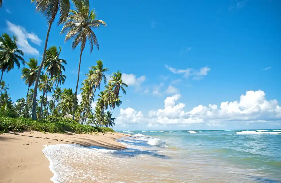 Melhores Praias de Salvador Bahia
