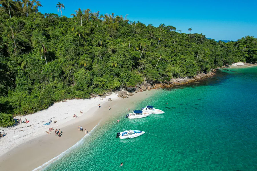 Ilha Grande Vira Refúgio de Luxo